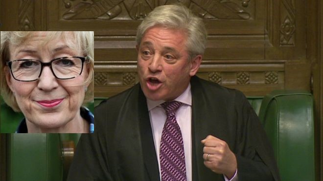 John Bercow under fire for calling stupid woman “a stupid woman”
